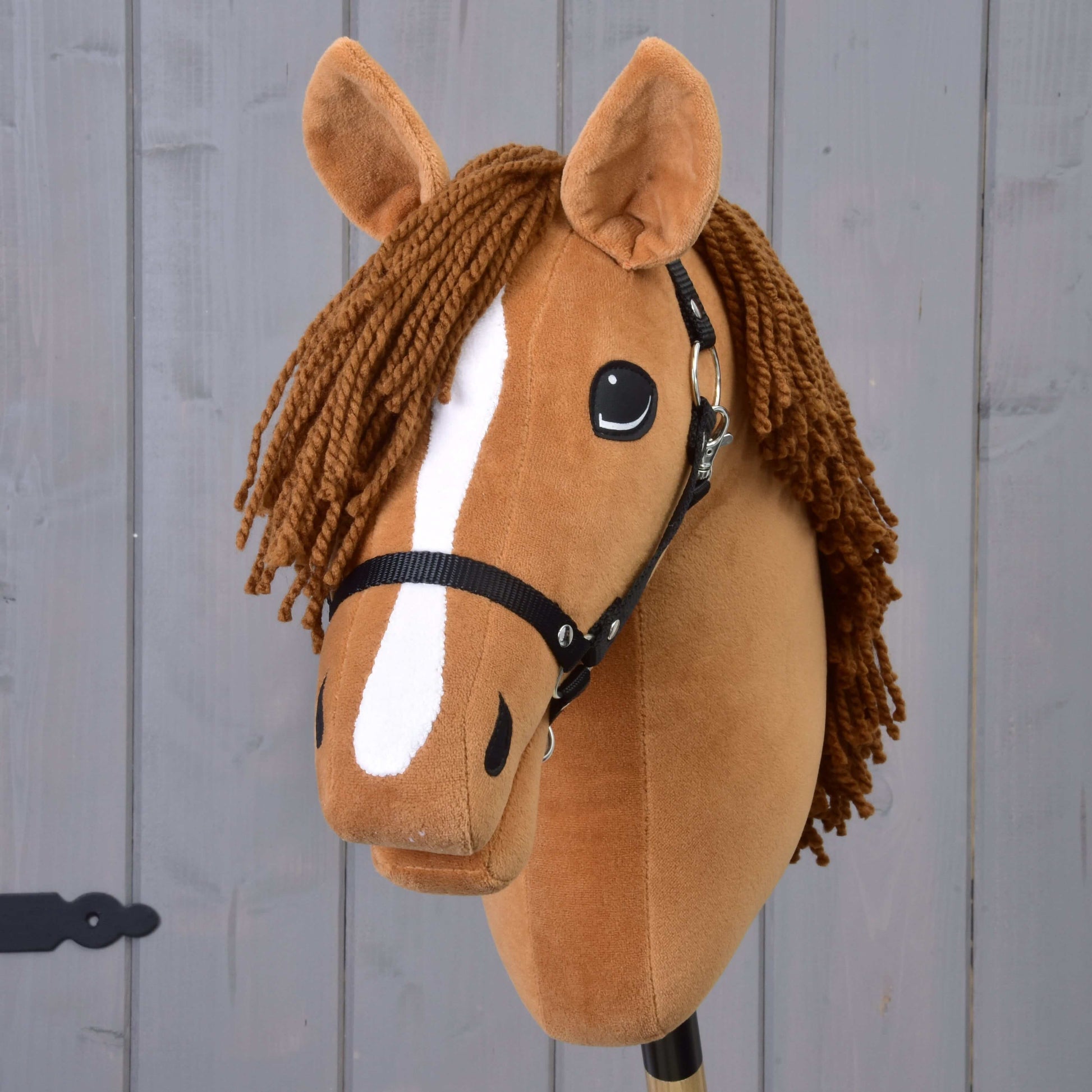 Hobby Horse Wendy with Black Halter