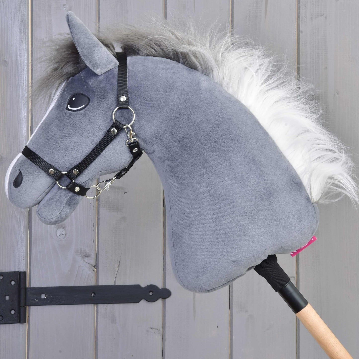 Hobby Horse Beauty with Black Halter