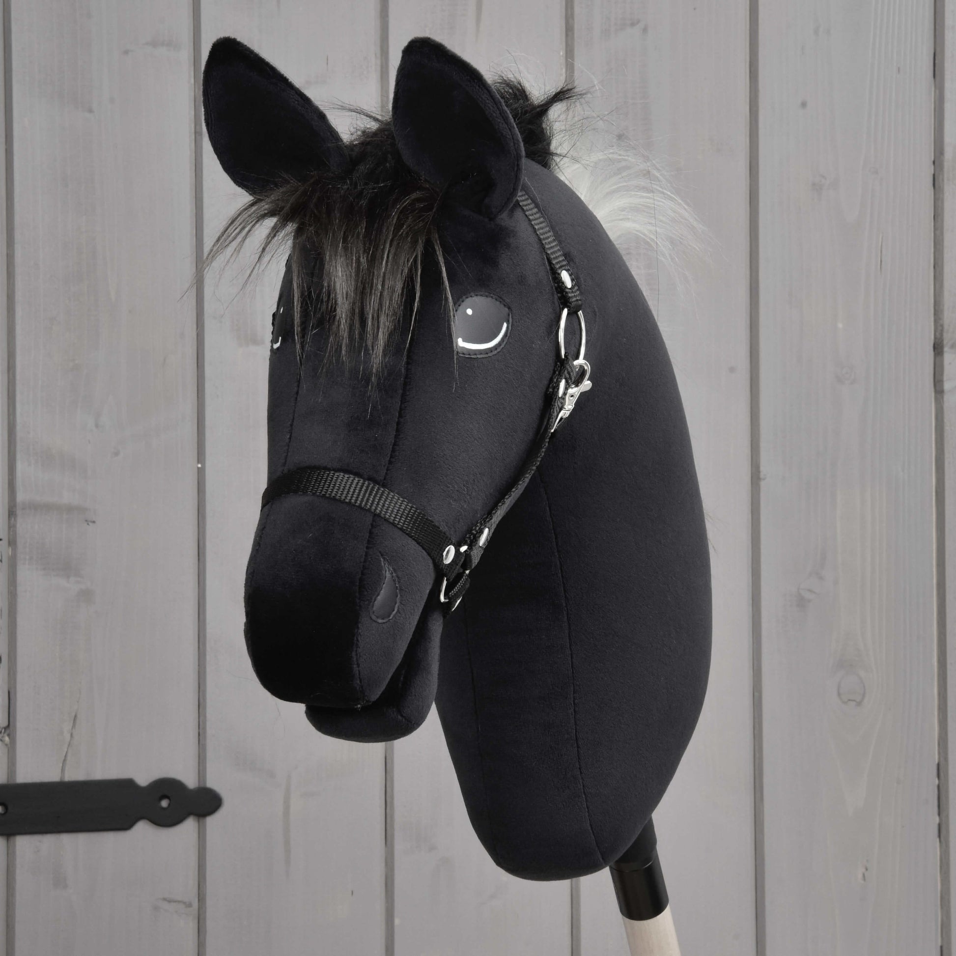 Hobby Horse Bond with Black Halter