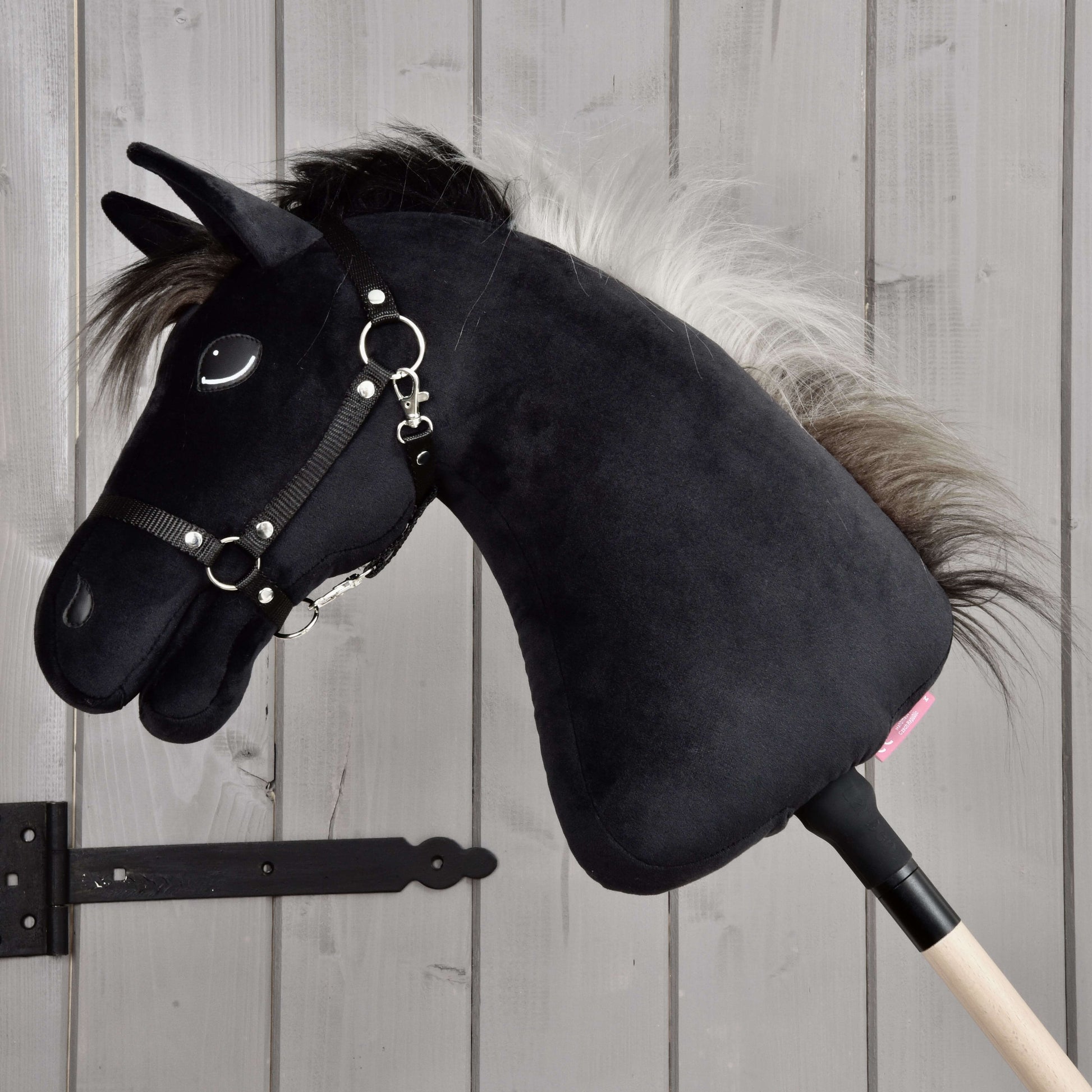 Hobby Horse Bond with Black Halter