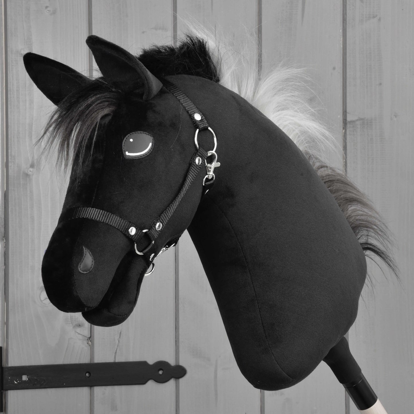 Hobby Horse Bond with Black Halter