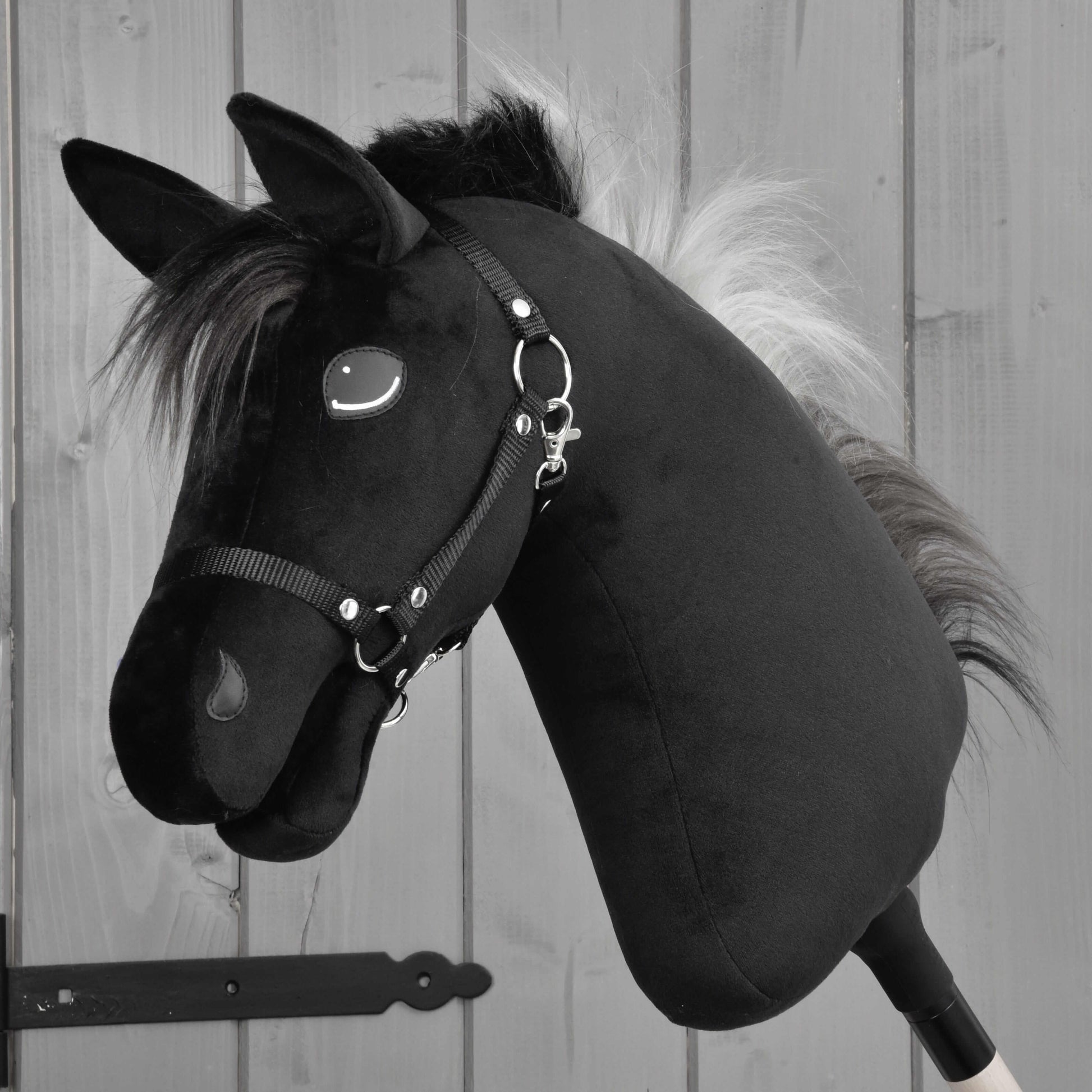 Hobby Horse Bond with Black Halter