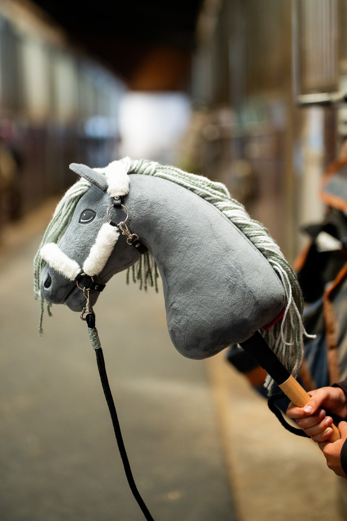 Hobby Horse Calypso up close in a white fur halter on a black lead rope, a blurred stable aisle behind