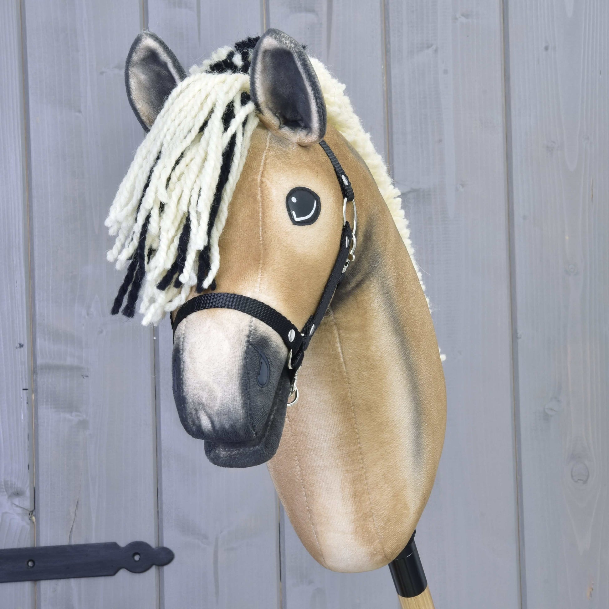 Hobby Horse Colby z czarnym Kantarem