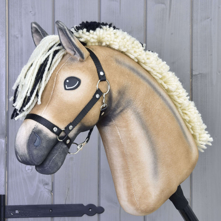 Hobby Horse Colby z czarnym Kantarem