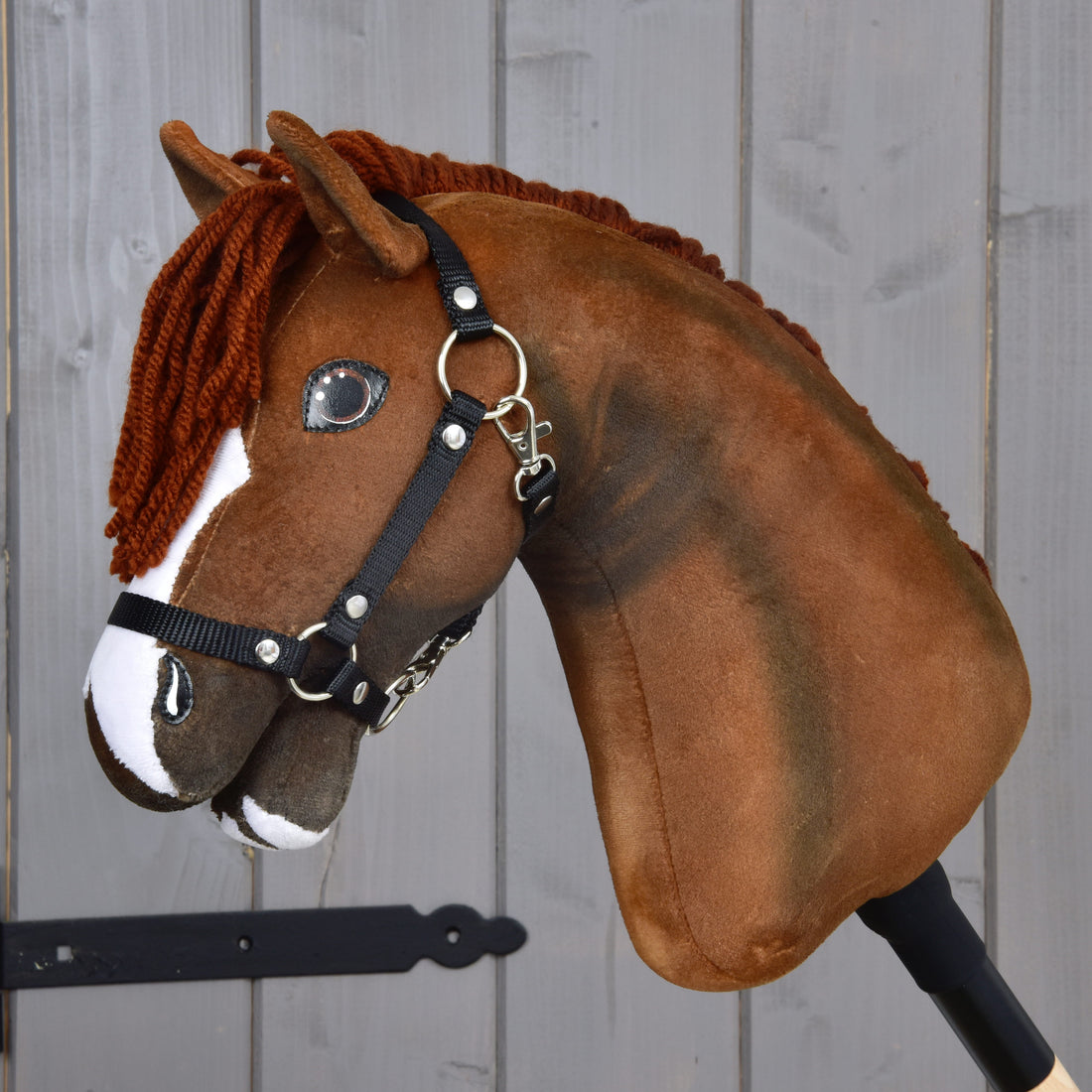 Hobby Horse Cooper with Black Halter