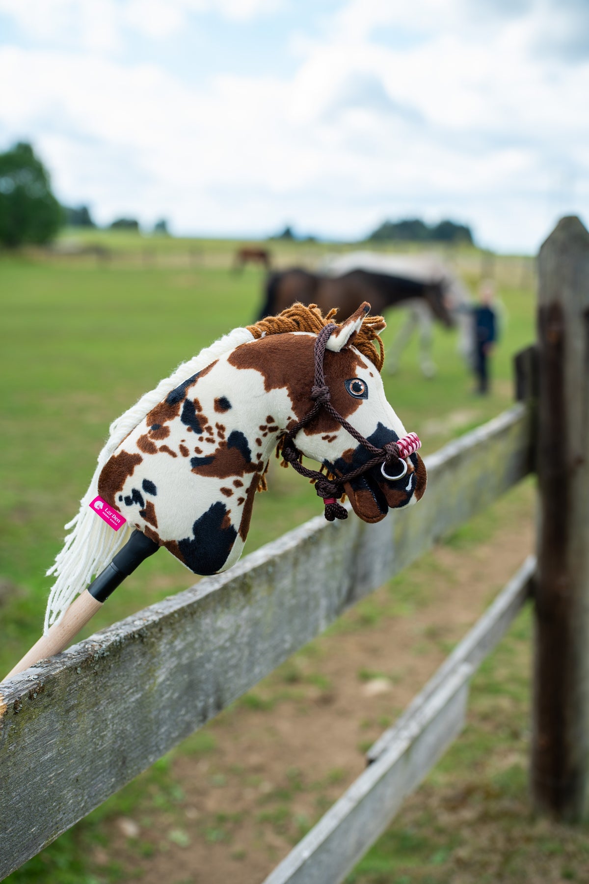 Lifestyle photo: the Hobby Horse Dakota with Black Halter by Hobby Horse LarDen hangs over a wooden paddock fence, a grazing horse and a rider in the field behind - brown and white pinto plush head, white yarn mane, blue eye - shown here with the York rope halter.