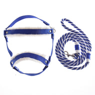 Zestaw Essential Niebieski