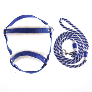 Set Essential Blue