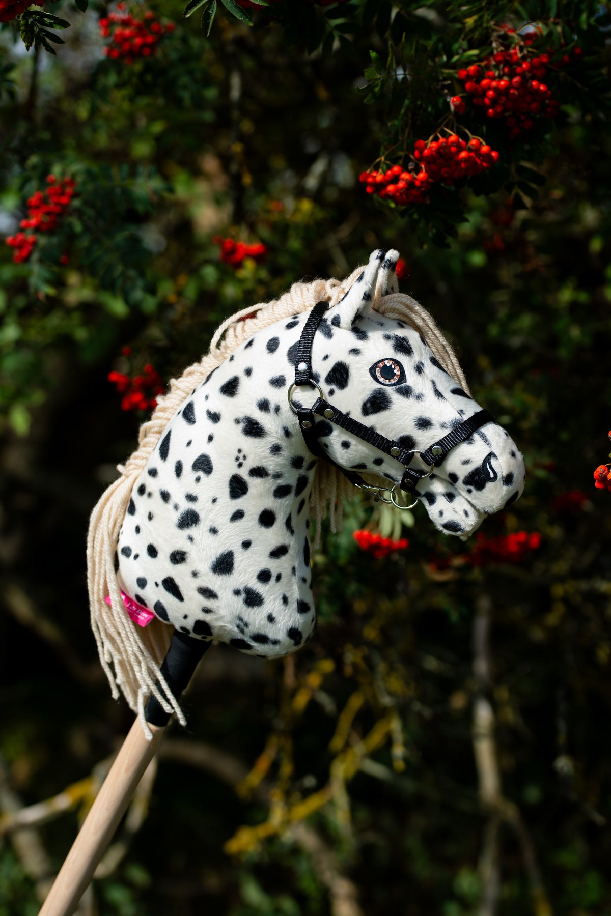 Hobby Horse Lord Valentine outdoors in side view in front of a rowan tree full of red berries