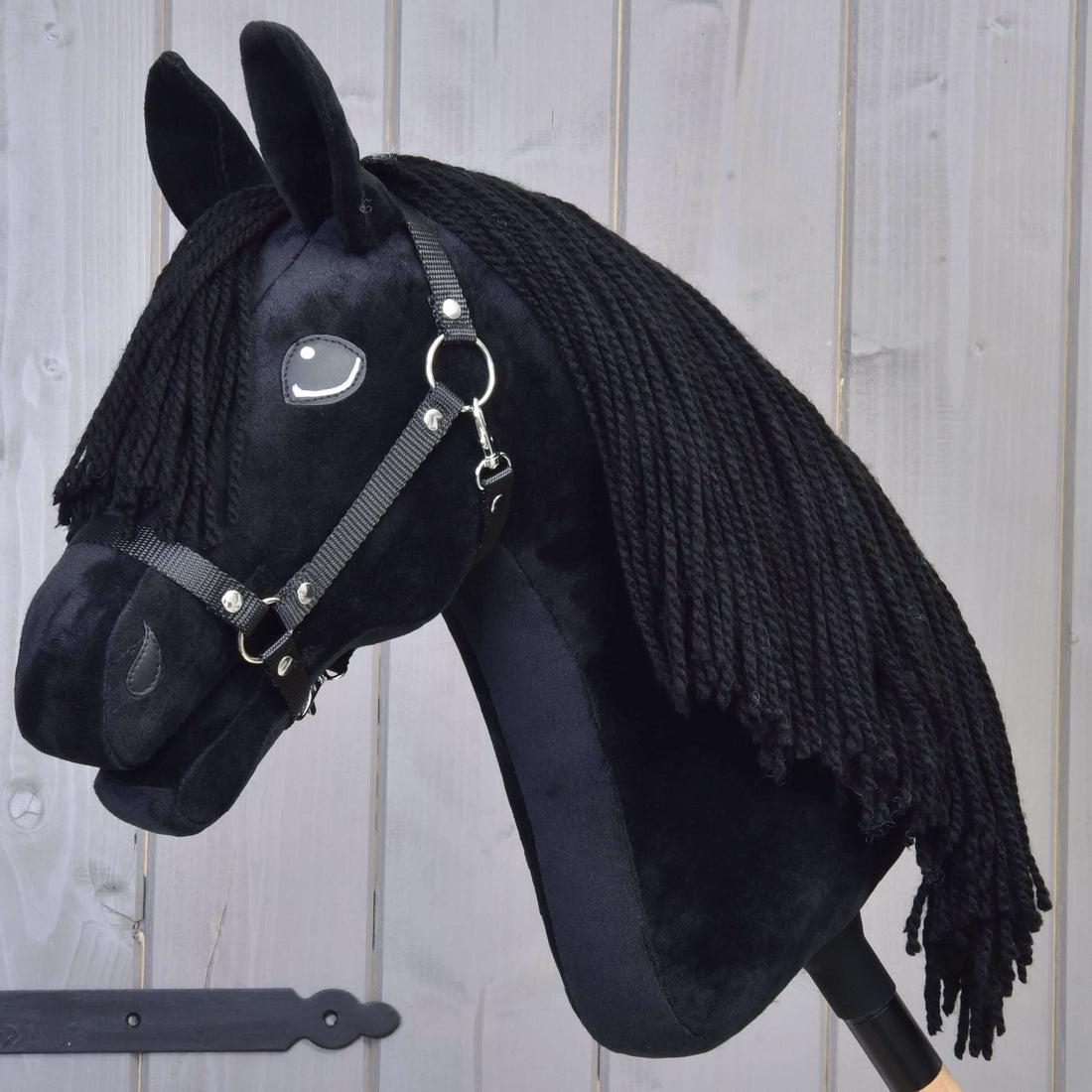 Hobby Horse Mahal z czarnym kantarem