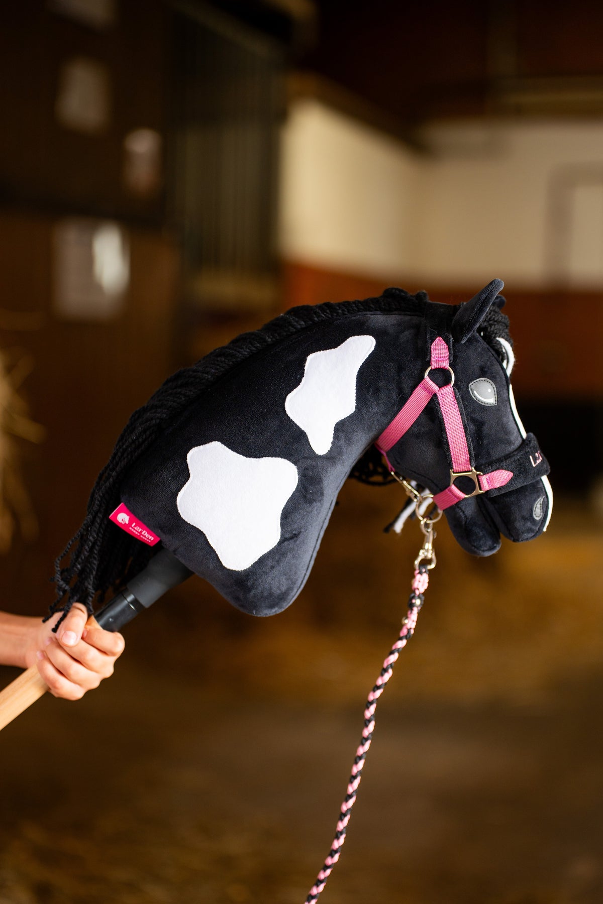 Black and white Hobby Horse wearing a pink webbing halter and matching braided lead rope in a stable