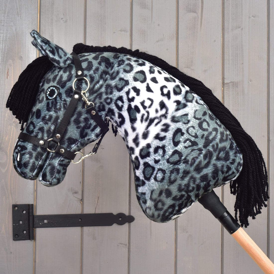 Hobby Horse Picasso z czarnym kantarem