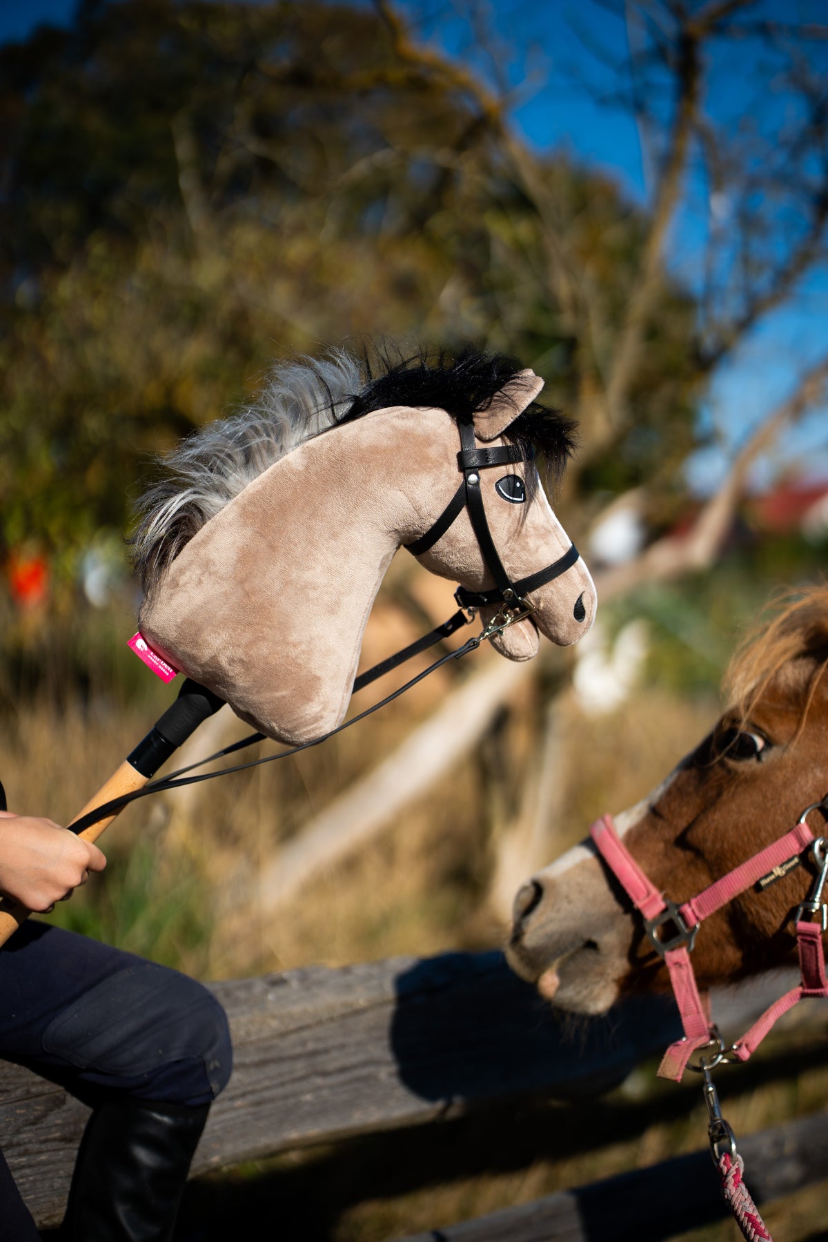 Beige Hobby Horse with a black and grey mane in the black leatherette bridle and reins, beside a chestnut pony outdoors