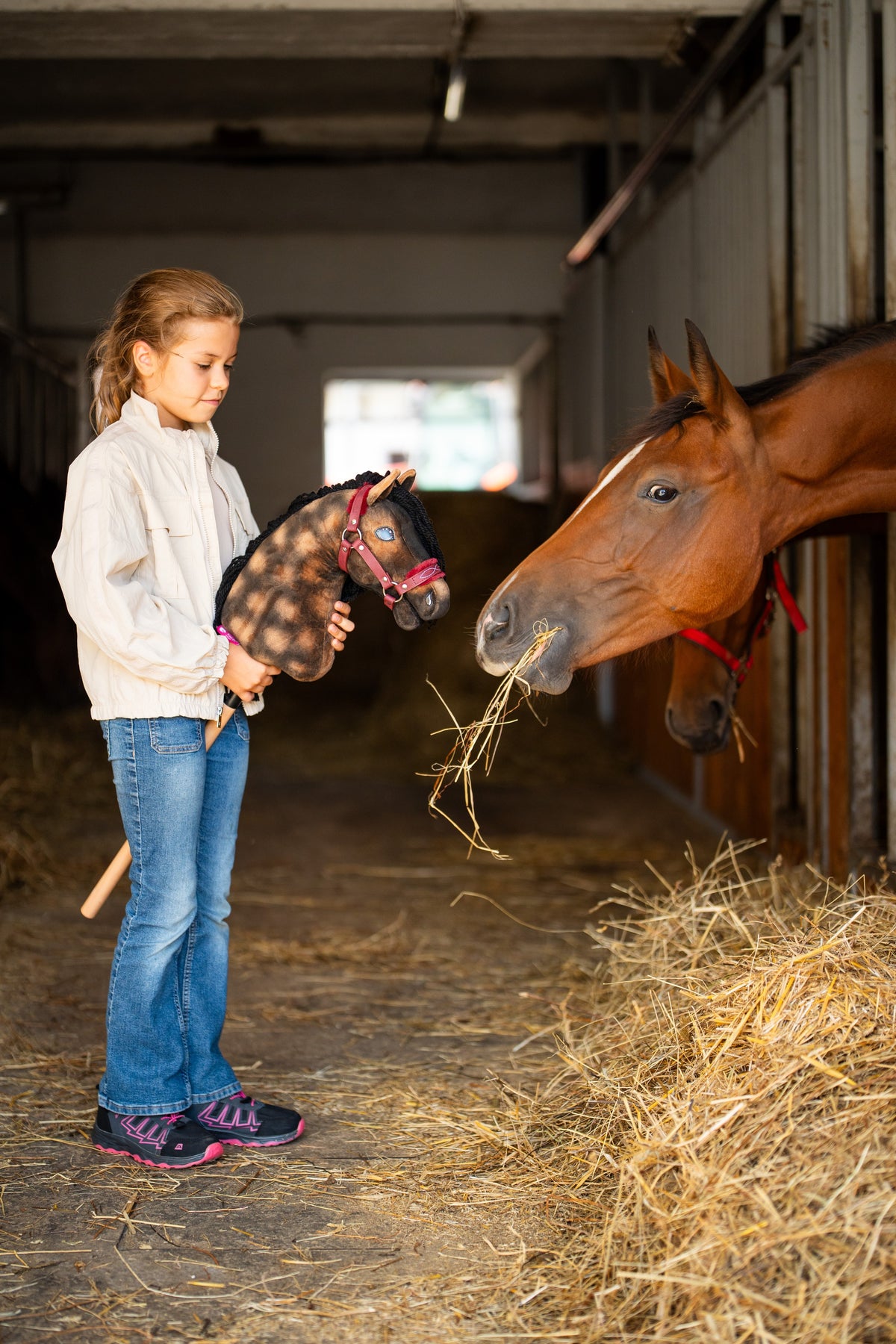 Dziewczyna w kremowej kurtce podnosi Hobby Horse Stormy z kantarem Black Halter od Hobby Horse LarDen do prawdziwego gniadego konia jedzącego siano w stajni – dereszowata brązowa pluszowa głowa, czarna grzywa z włóczki – pokazany z kantarem z futerkiem Burgundy ze skóry ekologicznej