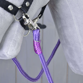 Wodze Viola