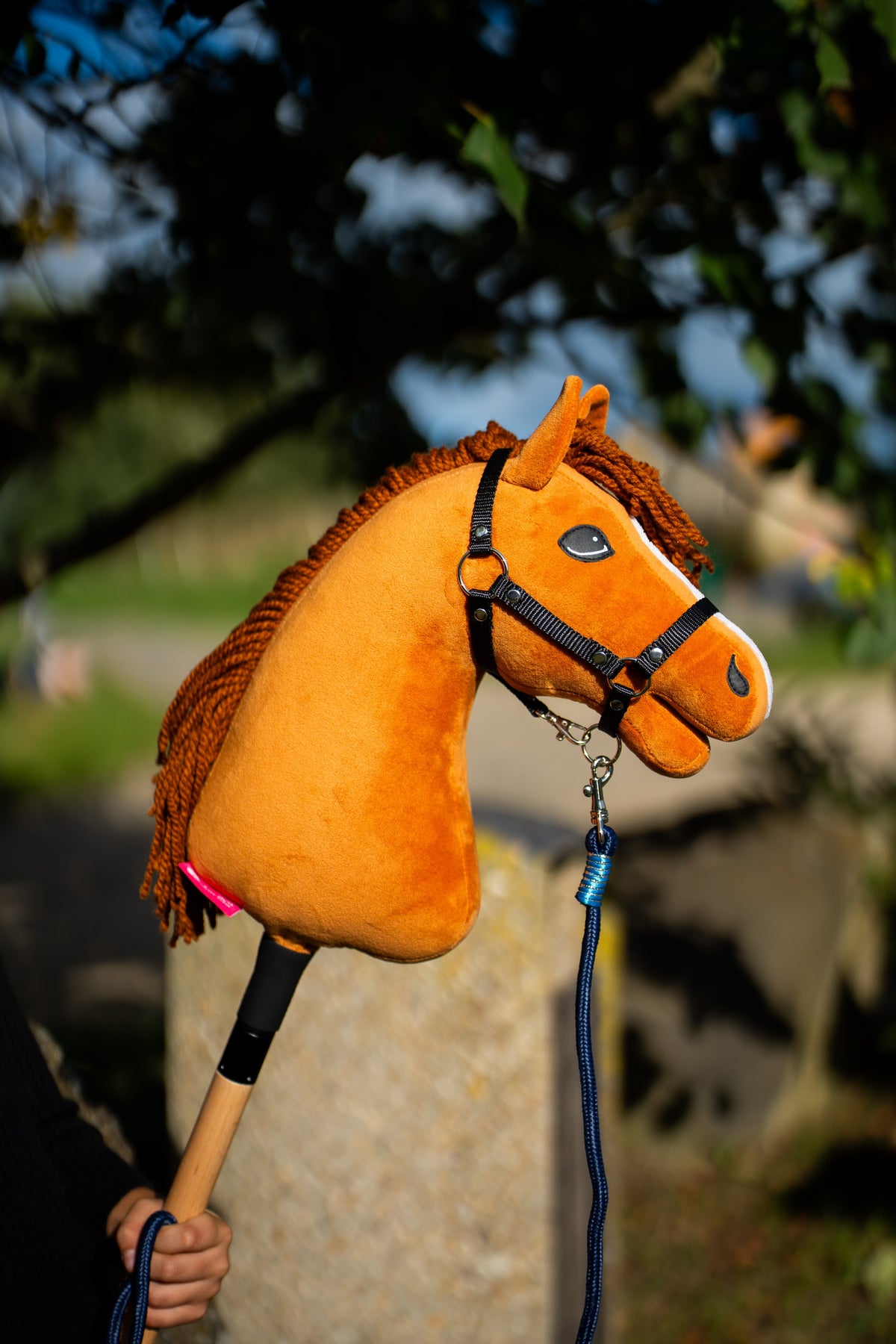Głowa Hobby Horse Wendy z kantarem Black Halter od Hobby Horse LarDen, uniesiona w ciepłym wieczornym świetle – jasny kasztanowaty plusz, ruda grzywa i grzywka z włóczki – pokazany z Uwiązem Blues rope stripe